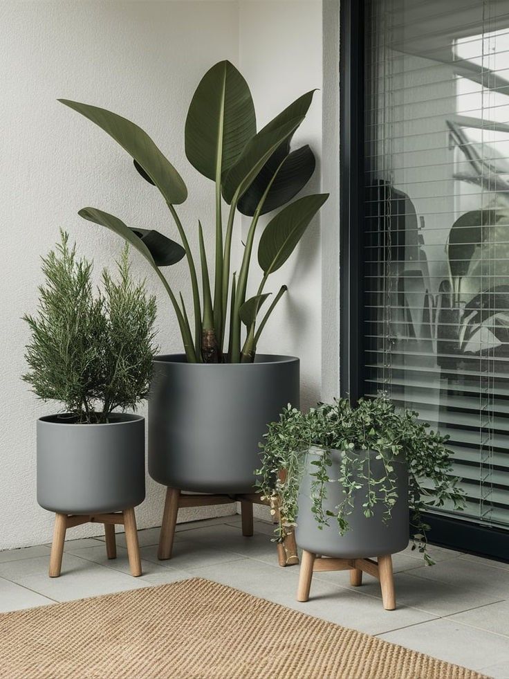 flower pots
