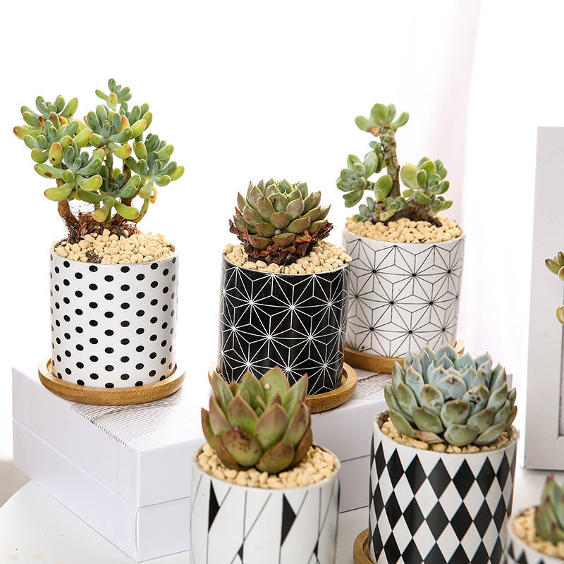 Ceramic flowerpot