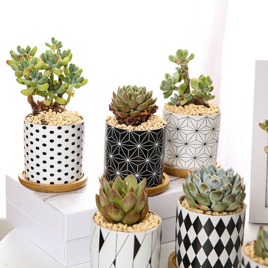 Ceramic flowerpot