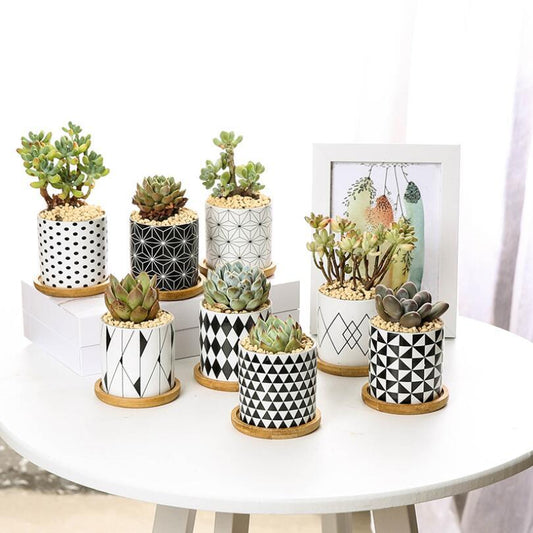 Ceramic flowerpot