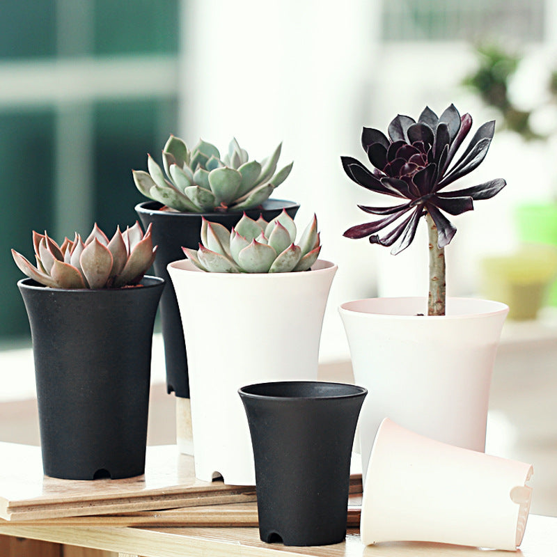 Succulent flowerpot plastic flowerpot